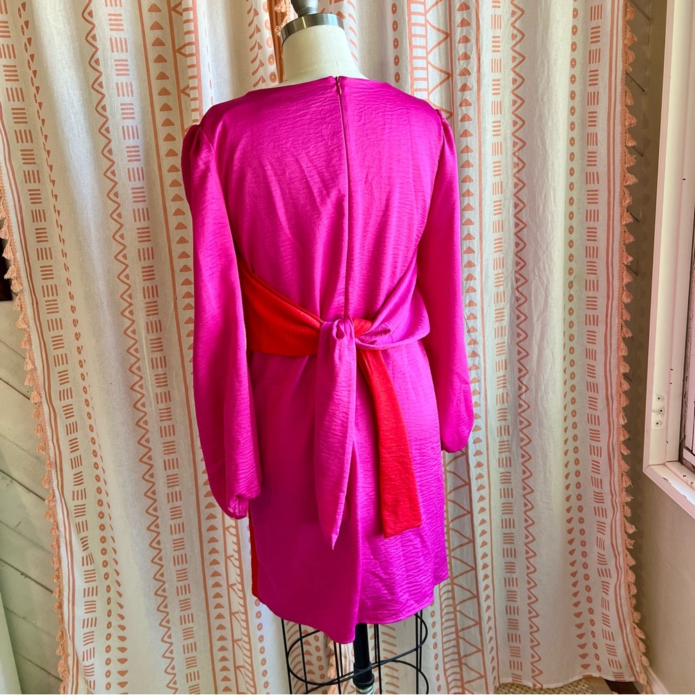 Fraiche Elegant Pink and Red Dress - Picture 3 of 7